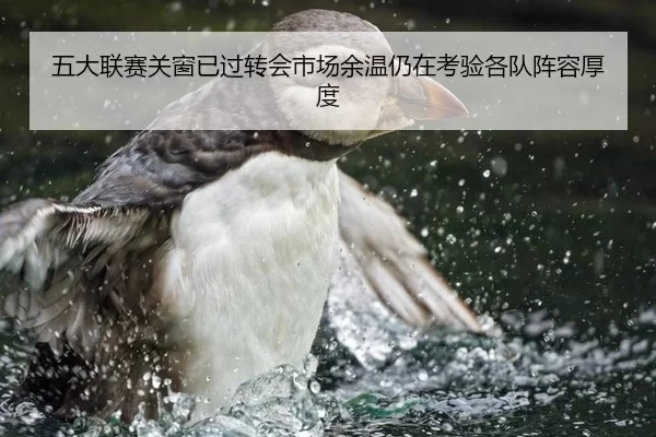 五大联赛关窗已过转会市场余温仍在考验各队阵容厚度